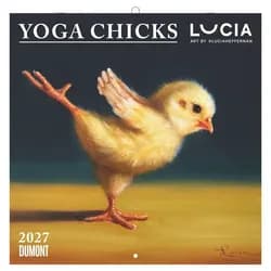 NEUMANN Wandkalender Yoga Chicks 2027