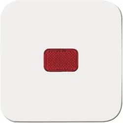 Busch-Jaeger Wippe aws 2509-214