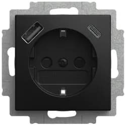 Busch-Jaeger USB-Steckdosen-Einsatz 20 EUCB2USBAC-915