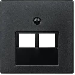 Merten Zentralplatte anth 298014
