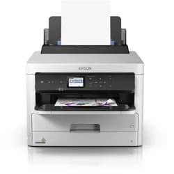 Epson DURABrite Pro