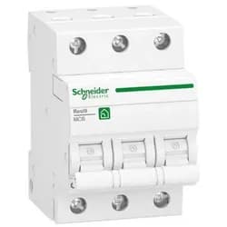 Schneider Electric Leitungsschutzschalter R9F24320