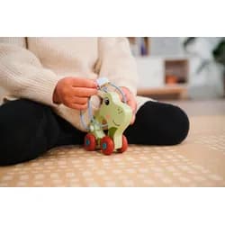 Eichhorn Nachziehspielzeug Baby Babywelt Rollspielzeug Holz Schiebefrosch 100006801