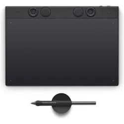 Wacom Eingabestift