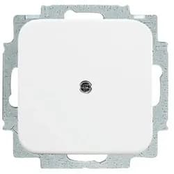 Busch-Jaeger Blindzentralscheibe aws 2538-214