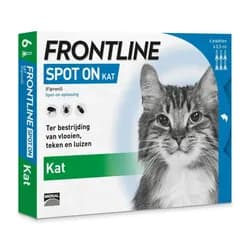 FRONTLINE SPOT ON Katze
