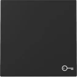 Gira Wippe Symb. Tür 3287005