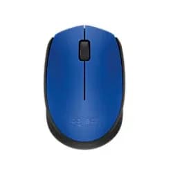 Logitech M171