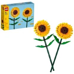 Sonnenblumen