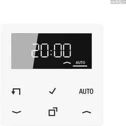 Jung Timer Standard, Display A 1750 D WW