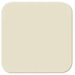 Busch-Jaeger Wippe ws 2506-212