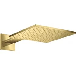 Kopfbrause 300/300 2jet AXOR m Brause Wa