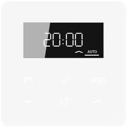 Jung Timer Standard, Display CD 1750 D WW