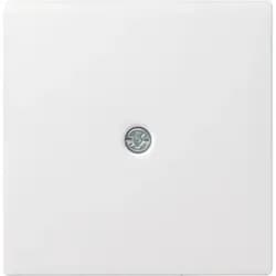 Gira Zentraleinsatz rws-gl 027403