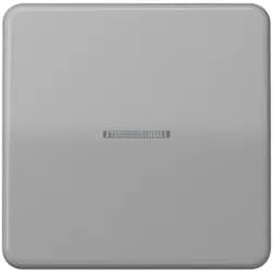 Jung KNX RF Taster 1fach CD 10911 ST RF GR