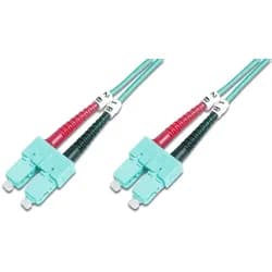 patch cable - 1 m - 1m