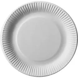 PAPSTAR 100 Teller, Pappe "pure" rund Ø 23 cm weiss