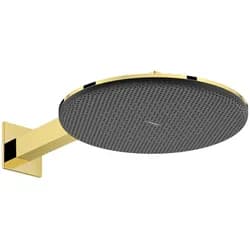 hansgrohe Kopfbrause Raindance Alive S 2jet, Mind.-Druck 0,9, pol. gold optic