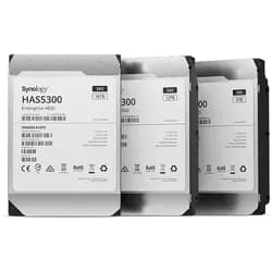 HAS5300-12T - 3.5 Zoll - 12000 GB - 7200 RPM