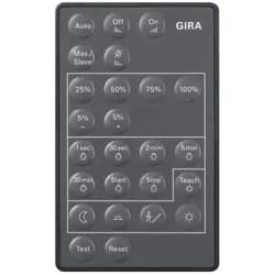 Gira Fernbedienung Sensotec 237300