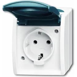 Busch-Jaeger Schuko-Steckdose gr/blgn 20 EW-53