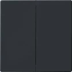 Busch-Jaeger Wippe 6736FOH-81
