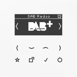JungSmart Radio DAB+ (alpinweiß)