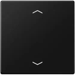 Jung Steuertaste Standard A 1700 BFP SWM