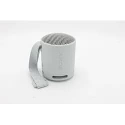 SRS-XB100 - portable speaker - Grey