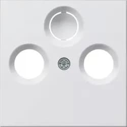 Gira Zentralplatte rws-gl 086903
