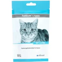 FeliGum L-Lysin 120g