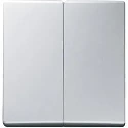 Busch-Jaeger Wippe alusilber 2105-33