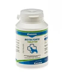 Biotin Forte Tabletten