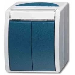 Busch-Jaeger Doppeltaster 2621 WN-53-205-101