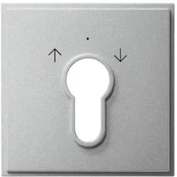 Gira Zentralpl. Schlüssel. alu 066465