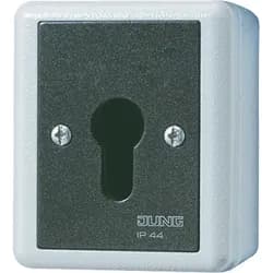 Jung Schlüsselschalter 833.18 G