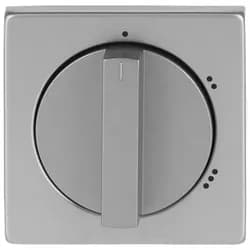 Busch-Jaeger Zentralscheibe eds 2542 DR/02-866