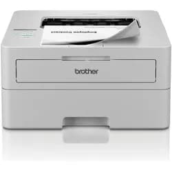 Brother Drucker HL-L2865DW
