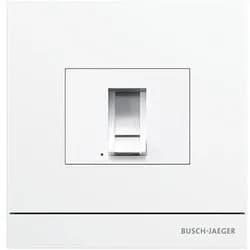 Busch-Jaeger Zutrittskontrolle außen 83100/70-664