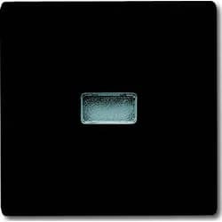 Busch-Jaeger Wippe anth 2107-35