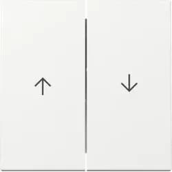 Gira Wippe 2f Pfeil 329403