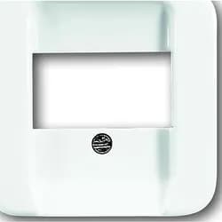 Busch-Jaeger Zentralscheibe aws 1762-214-506