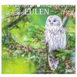 NEUMANN Tierkalender Geliebte Eulen 2027