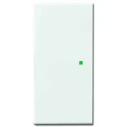Busch-Jaeger Wippe 2-fach 6230-20-84
