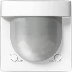Jung Bewegungsmelder BT LS 17182 WW