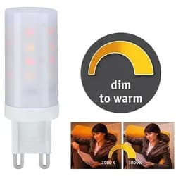 Paulmann LED-Standardlampe 288.19