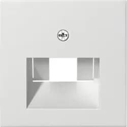 Gira Zentralplatte UAE/IAE rws 027027