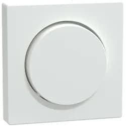 Merten Zentralplatte aws/gl MEG5250-0325