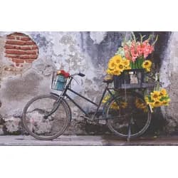Ravensburger Verlag GmbH Spiel Erwachsenenpuzzle 200 Teile - Fahrrad