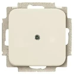 Busch-Jaeger Blindzentralscheibe ws 2538-212